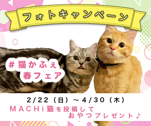 記事